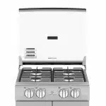 Estufa de piso a Gas 52 cm Inox Centrales| CCC20GTGXN-6 - Imagen 4