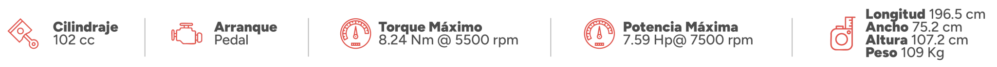 Características Boxer CT100 KS